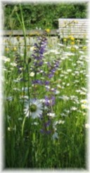 Schlange etc. 007.jpg